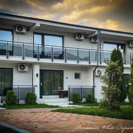 Pensjonat Pensiunea White Department Vladesti
