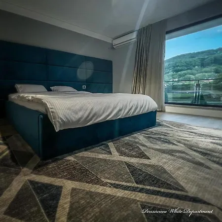Pensjonat Pensiunea White Department Vladesti
