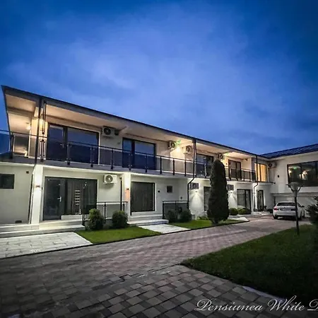 Pensiunea White Department Vladesti