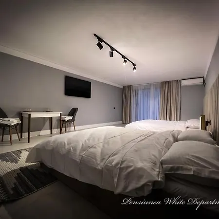 Pensiunea White Department Pensionat *